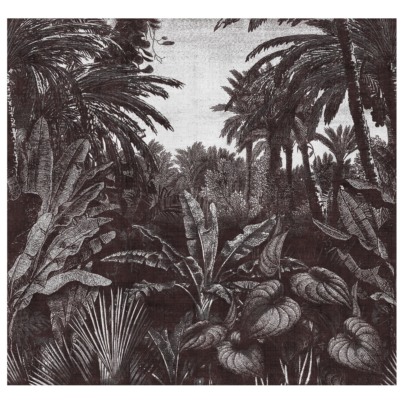 LondonArt TROPICAL MORNINGS 01 Collection 17