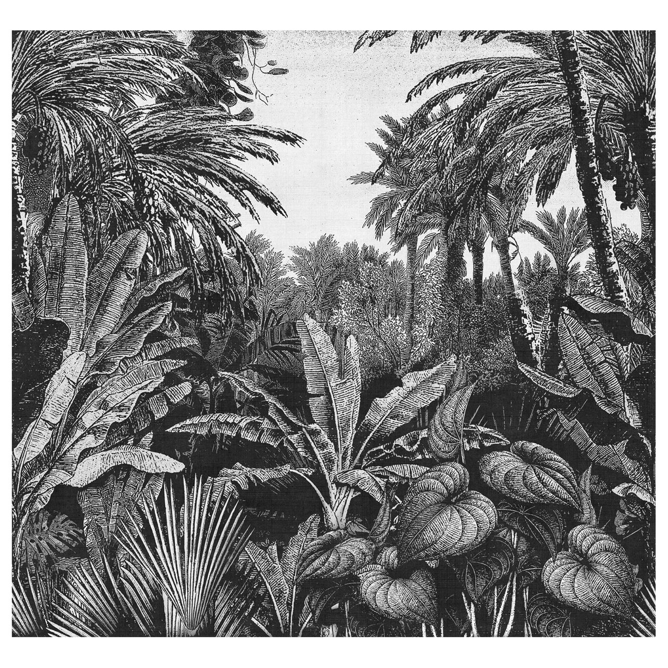 LondonArt TROPICAL MORNINGS 04 Collection 17