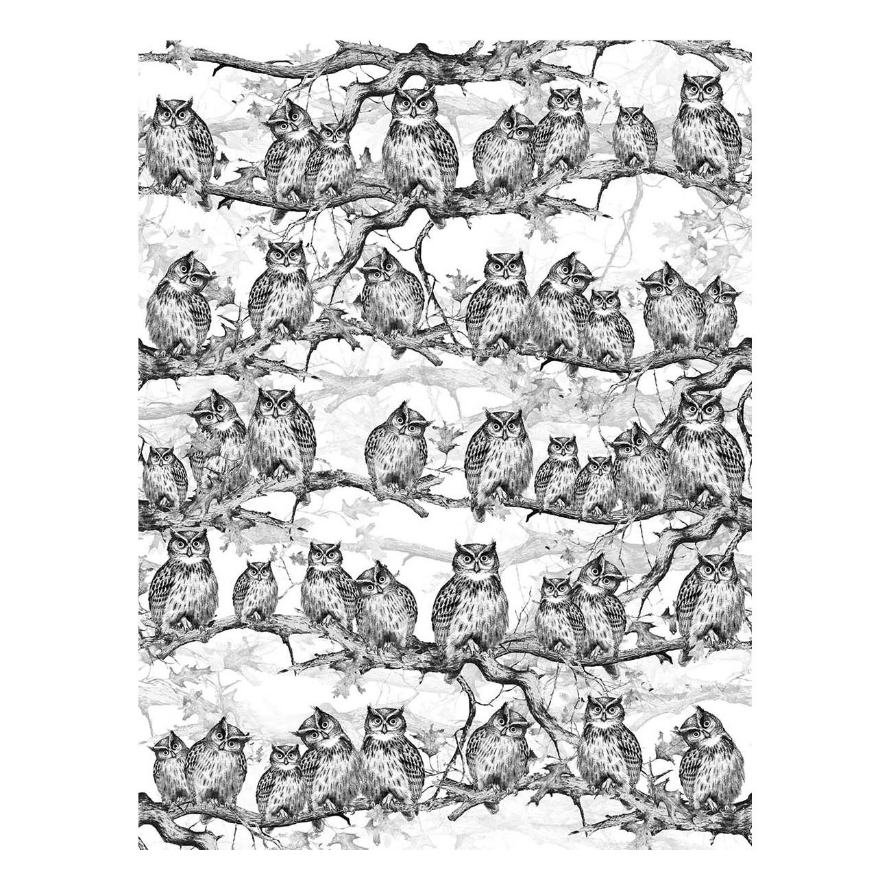 LondonArt OWLS RESORT 02 Collection 17