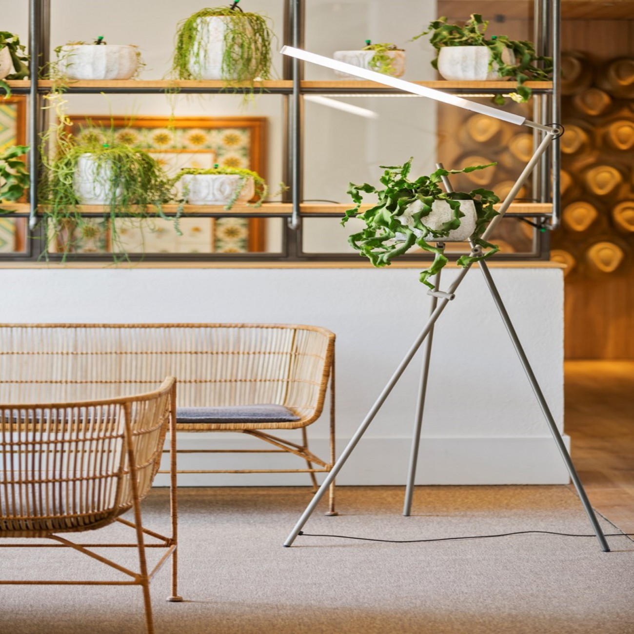 Estiluz ASANA Lampe de sol