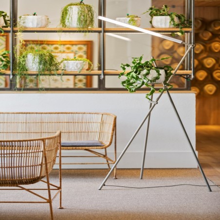 Estiluz ASANA Lampe de sol