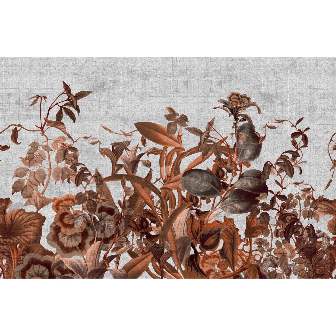 LondonArt HERBARIUM 02 Collection 17