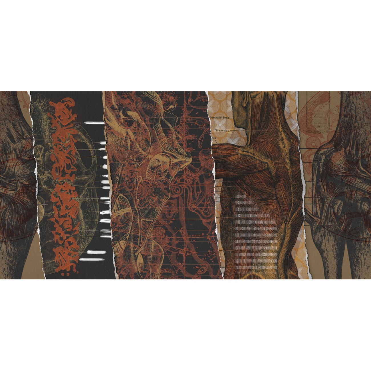 LondonArt MORYLAVRY 02 Collection 17