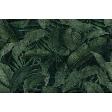 LondonArt REMEMBER 1 - THE DAYDREAMER