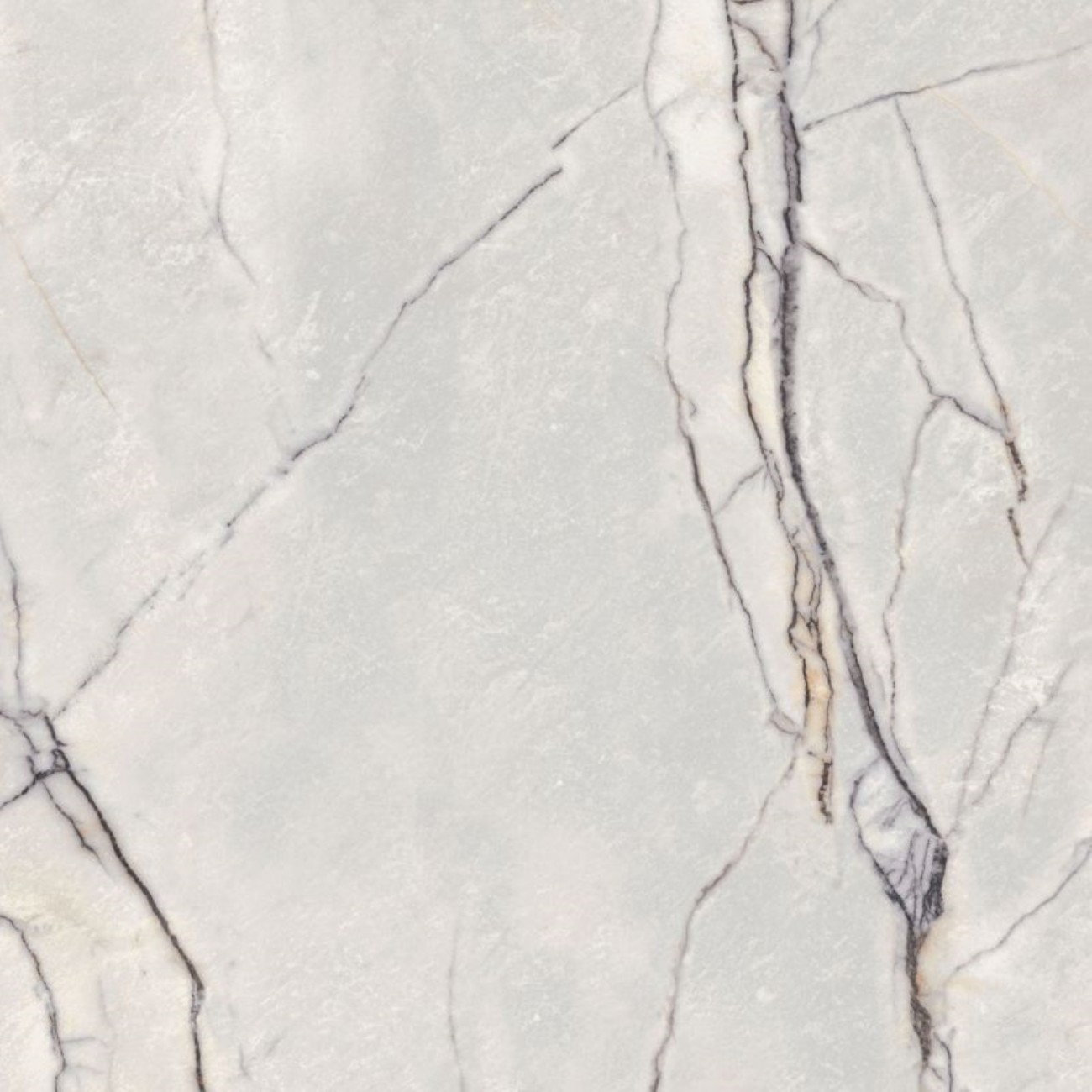 Flaviker Supreme Treasure GREYLAC PLATINUM