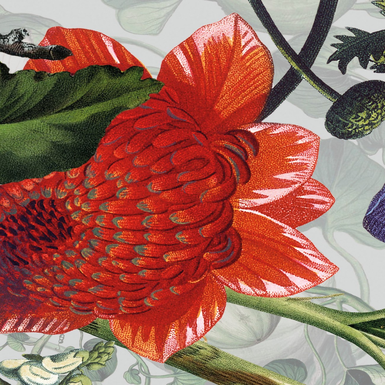 Devon&Devon Botanica Grey