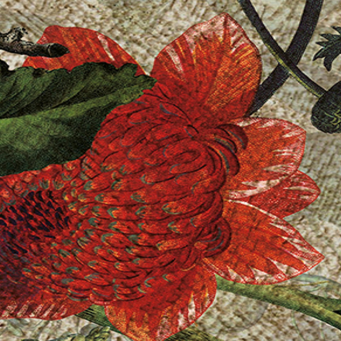 Devon&Devon Botanica Grey Antique Gold