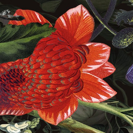 Devon&Devon Botanica Dark