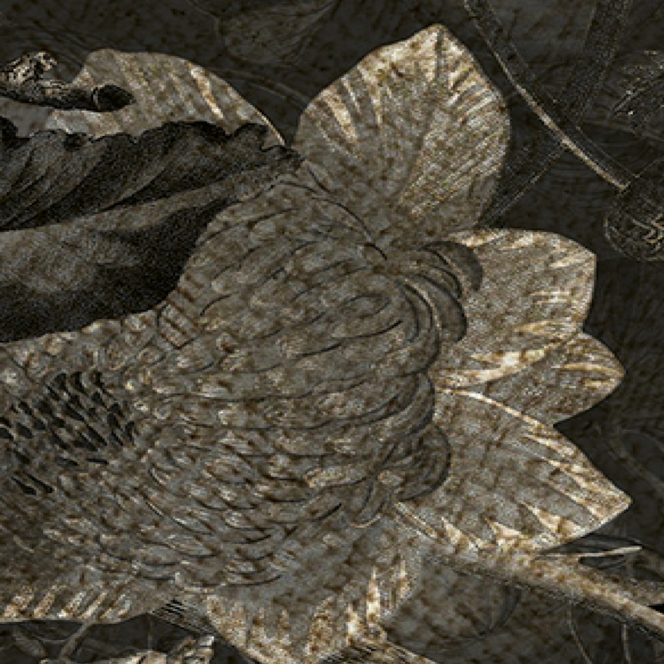 Devon&Devon Botanica Black&White Antique Gold