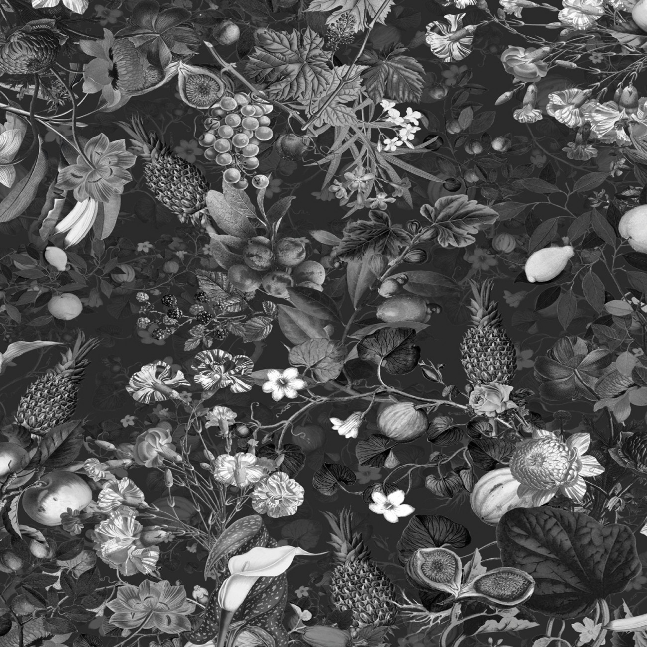Devon&Devon Botanica Black&White