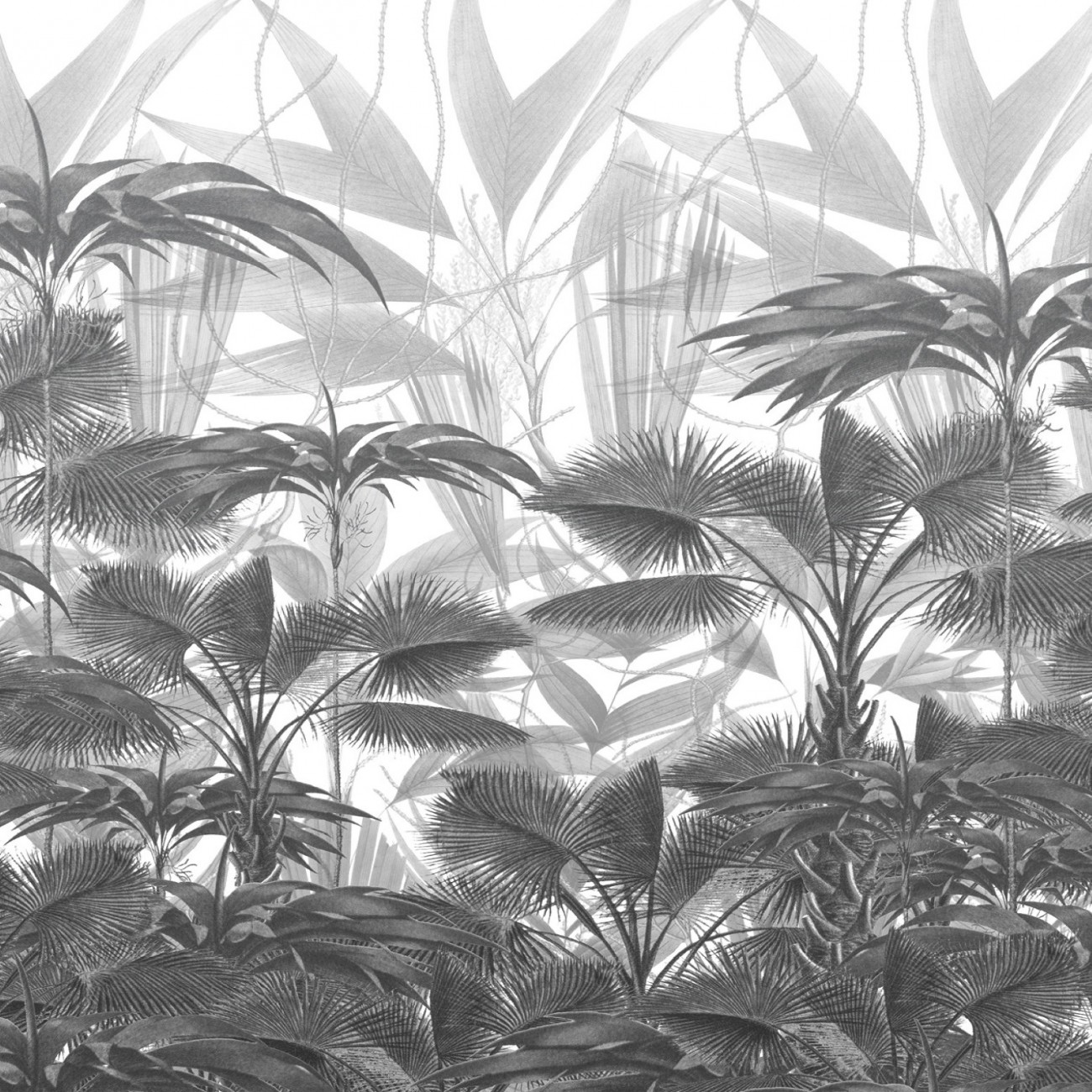 Devon&Devon Casablanca Black&White