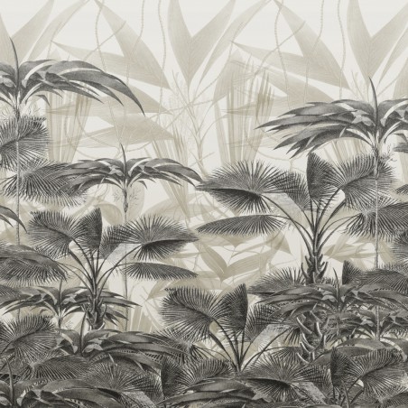 Devon&Devon Casablanca Coffee