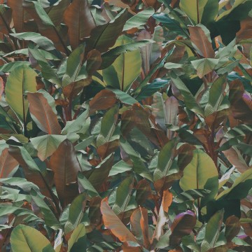 Devon&Devon Costarica Dust