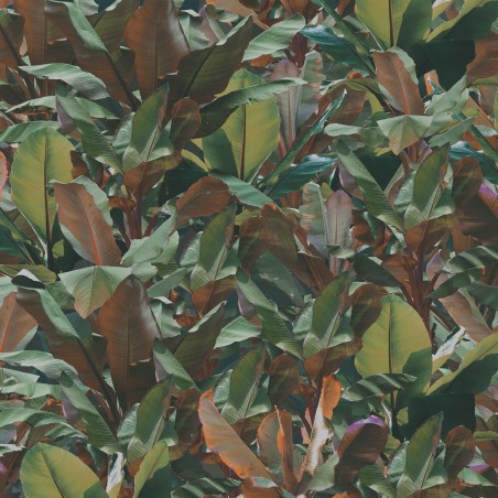 Devon&Devon Costarica Dust