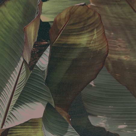 Devon&Devon Costarica Petrol