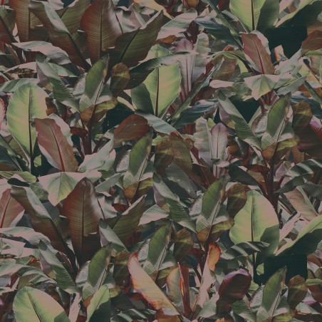 Devon&Devon Costarica Petrol