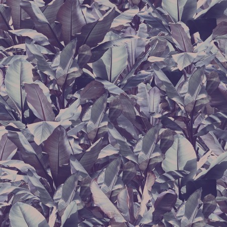 Devon&Devon Costarica Purple