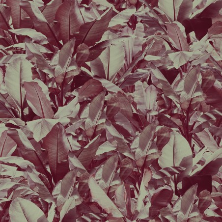 Devon&Devon Costarica Wine