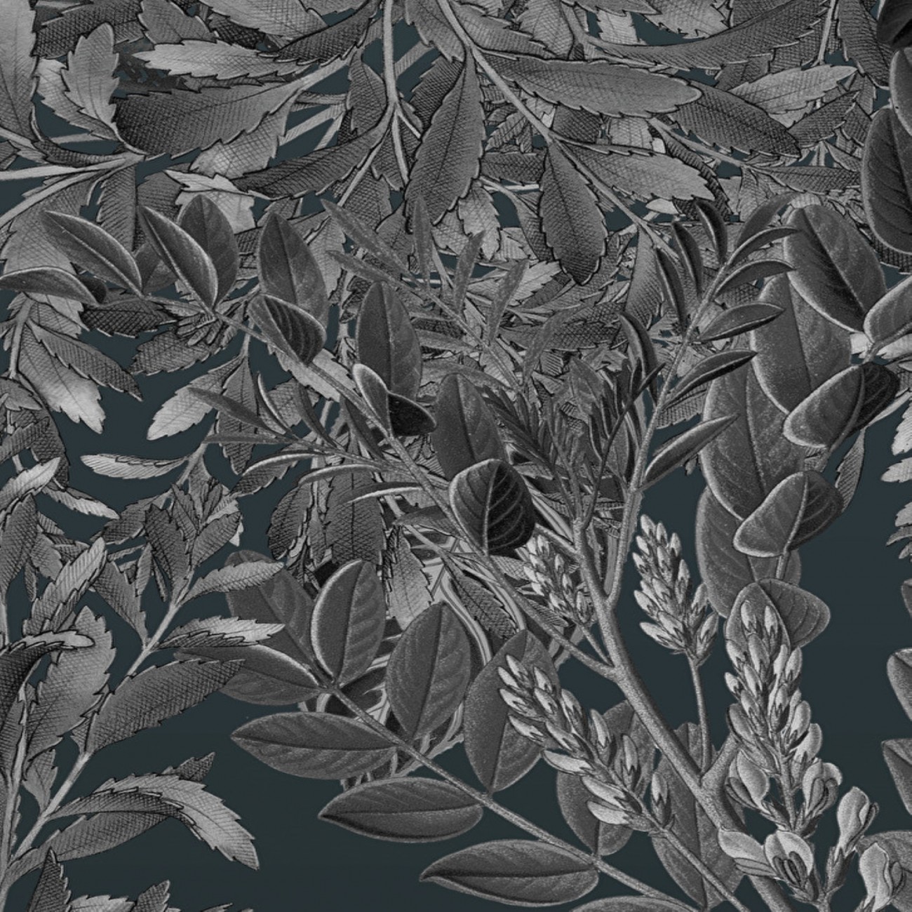 Devon&Devon Giacarta Night