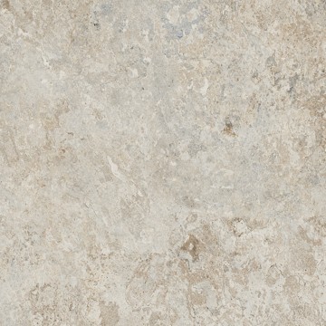 Tagina Savannah AMBOSELI