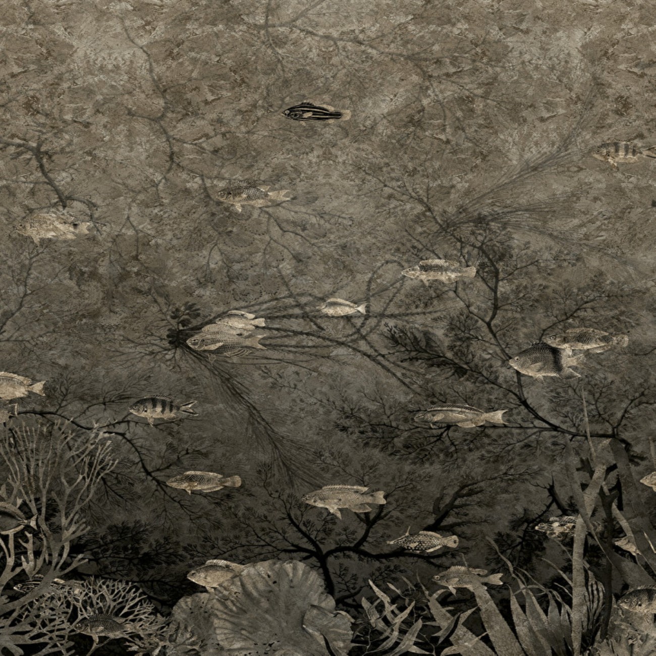 Devon&Devon Samoa Black&White Gold Leaf