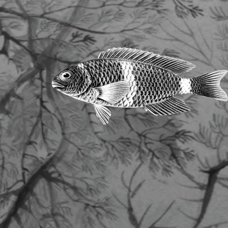 Devon&Devon Samoa Black&White