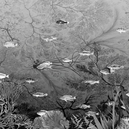 Devon&Devon Samoa Black&White