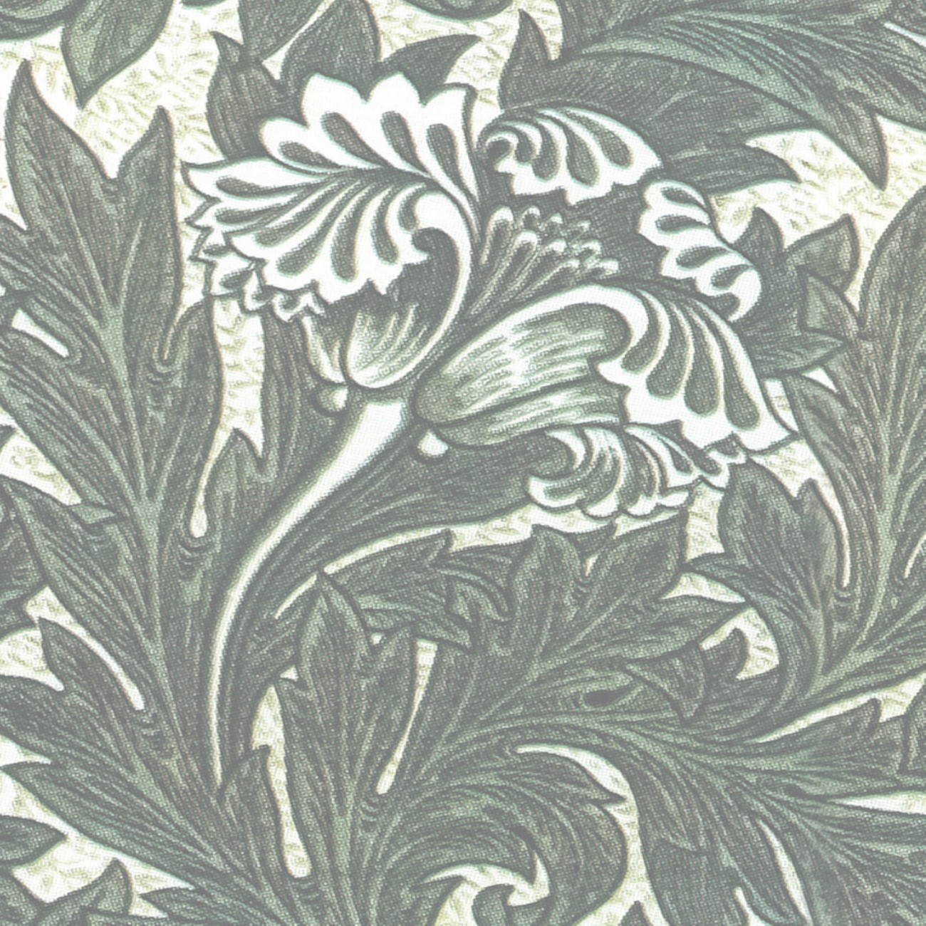 Devon&Devon Wagner Dust