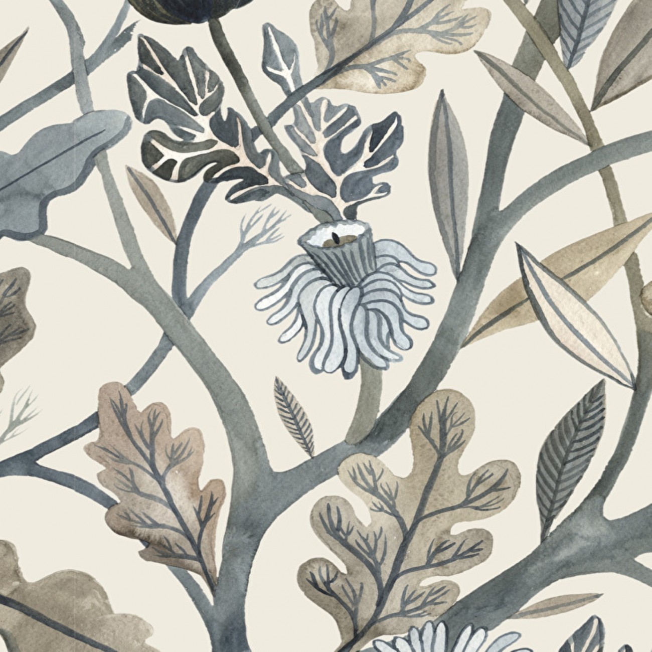 Devon&Devon Cardoon 2