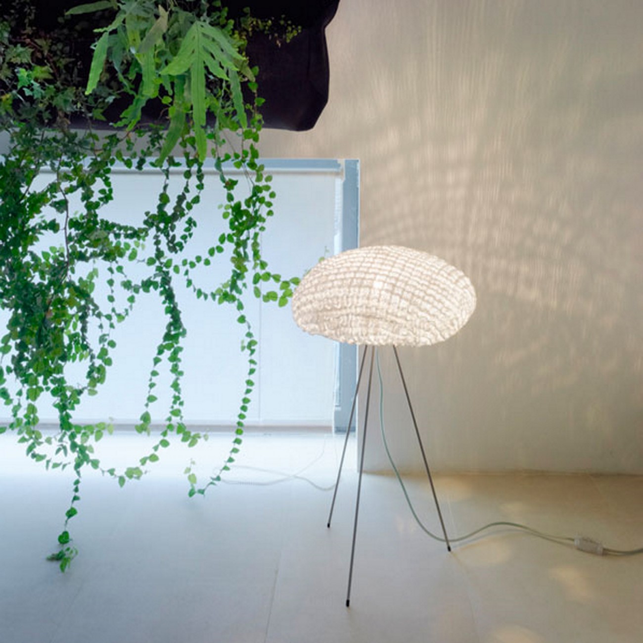 A-Emotional Light Tati