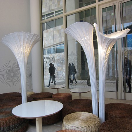 A-Emotional Light Africa