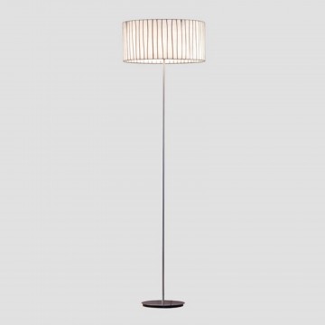 A-Emotional Light Curvas Large