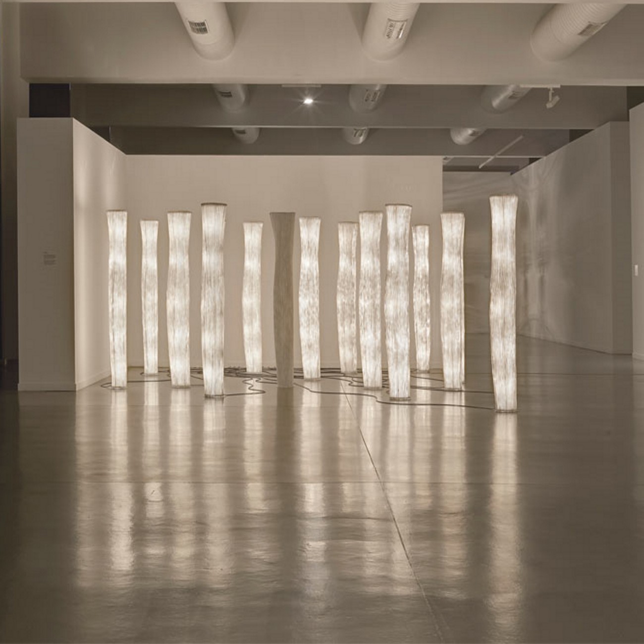 A-Emotional Light Gea