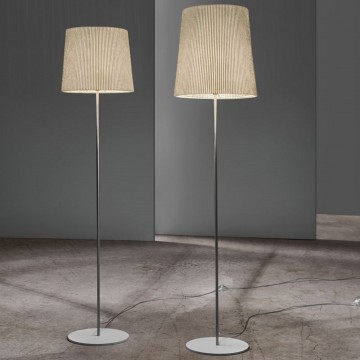 A-Emotional Light Virginia