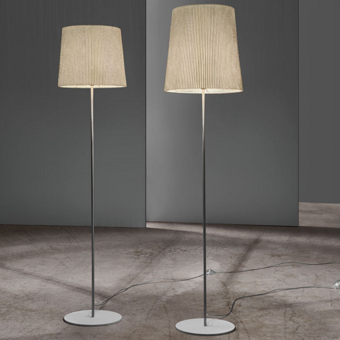 A-Emotional Light Virginia