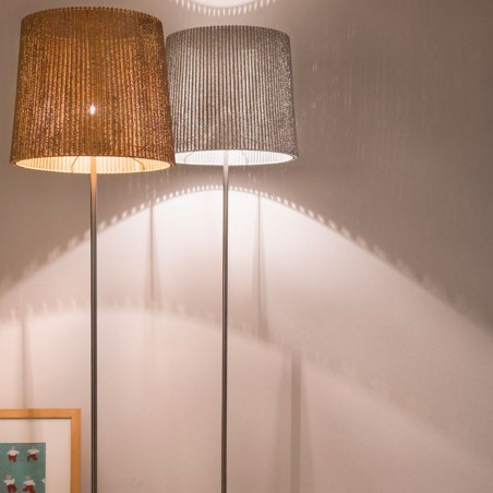 A-Emotional Light Virginia