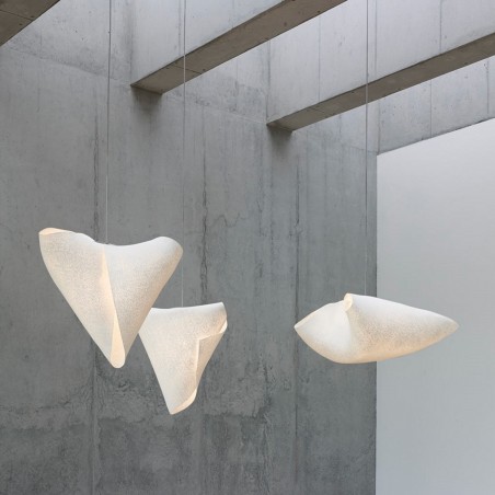 A-Emotional Light Ballet Plié