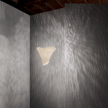 A-Emotional Light Ballet Relevé