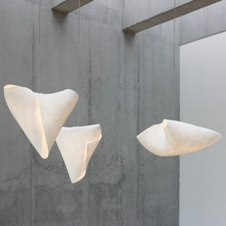 A-Emotional Light Ballet Relevé