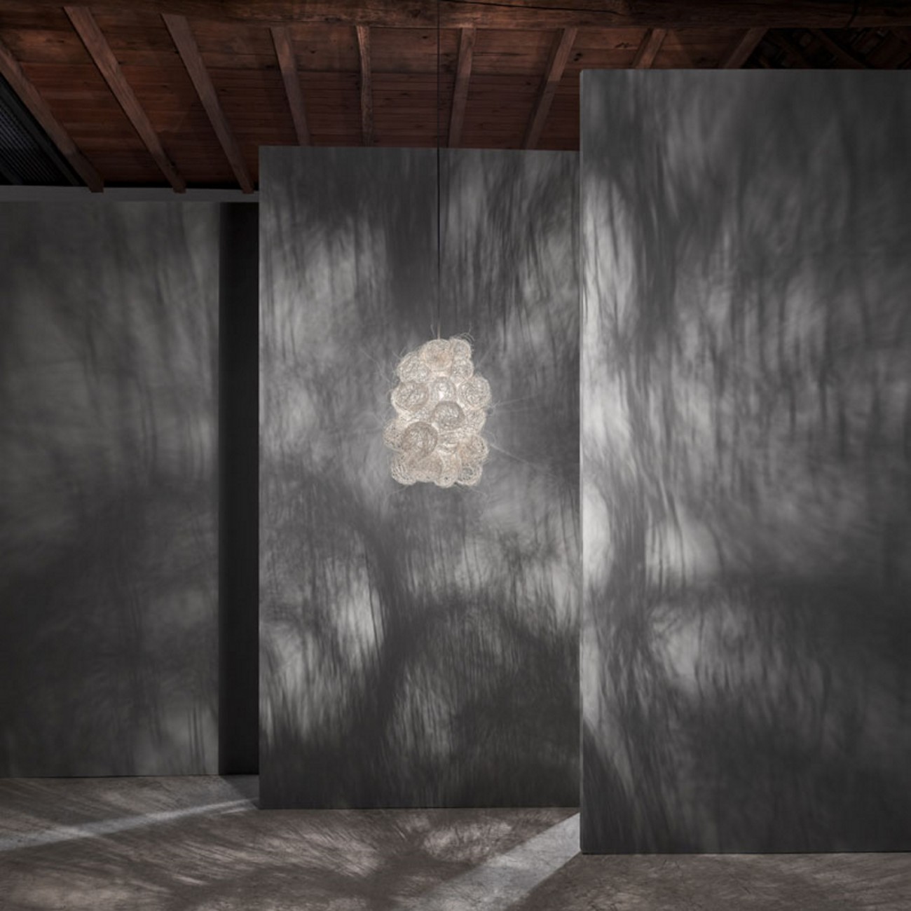 A-Emotional Light Blum