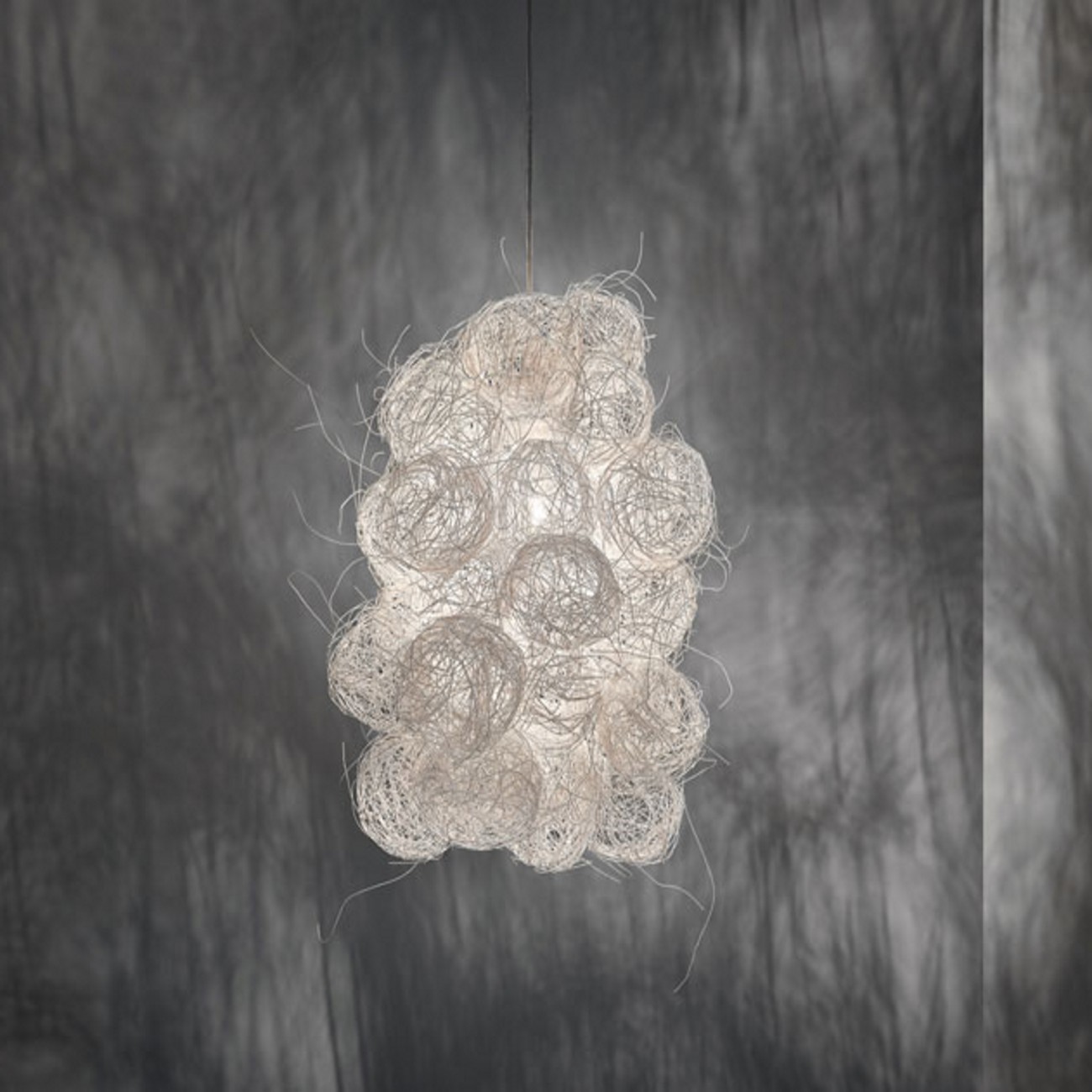 A-Emotional Light Blum