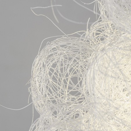 A-Emotional Light Blum