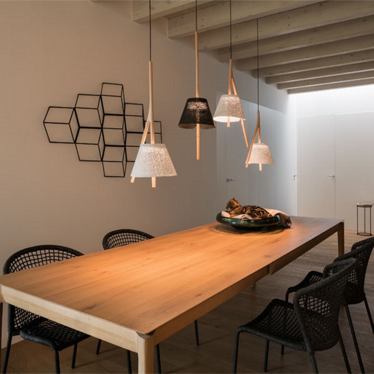 A-Emotional Light Cambo