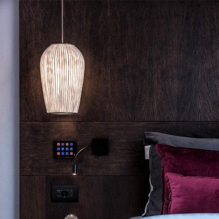 A-Emotional Light Coral Galaxea