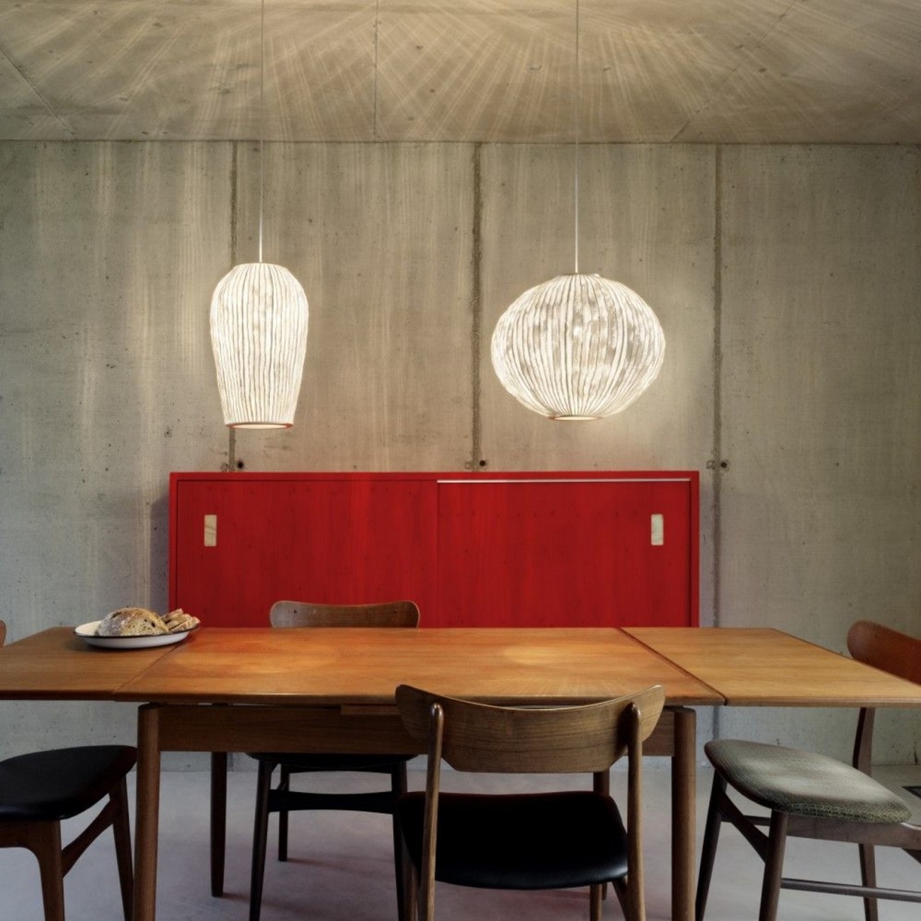 A-Emotional Light Coral Galaxea