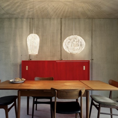 A-Emotional Light Coral Galaxea