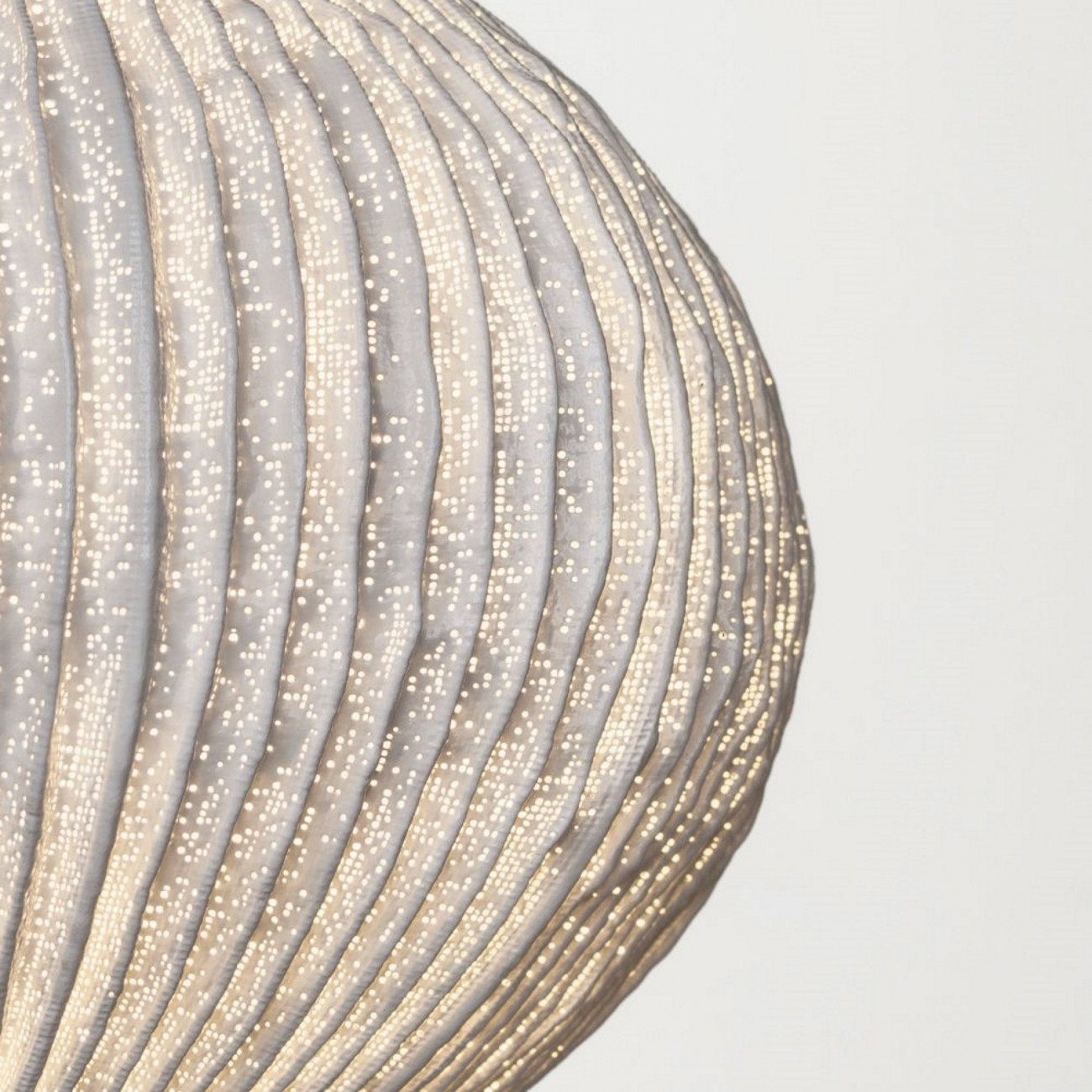 A-Emotional Light Coral Seaurchin