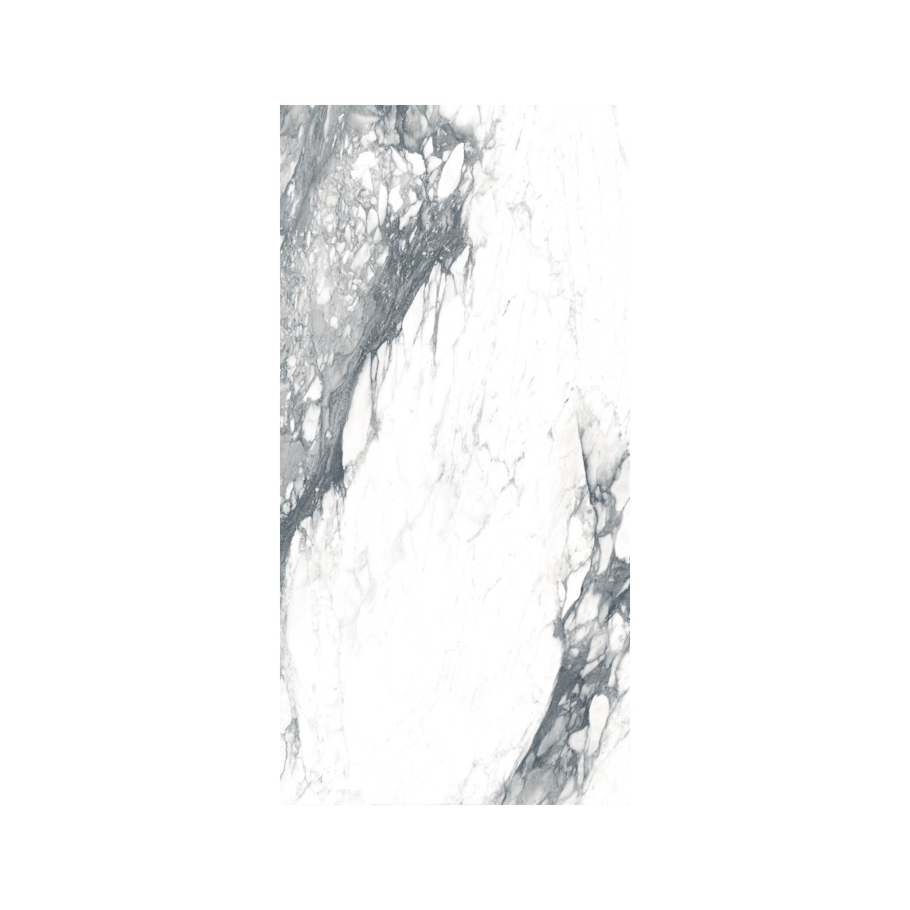 Ragno Bistrot Paonazzetto