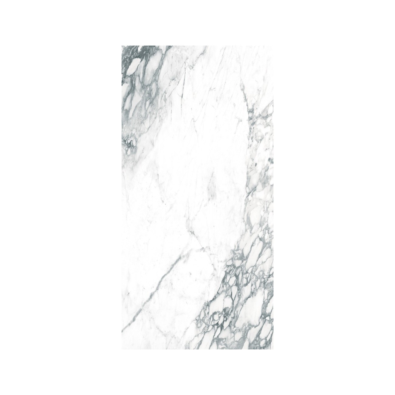 Ragno Bistrot Paonazzetto