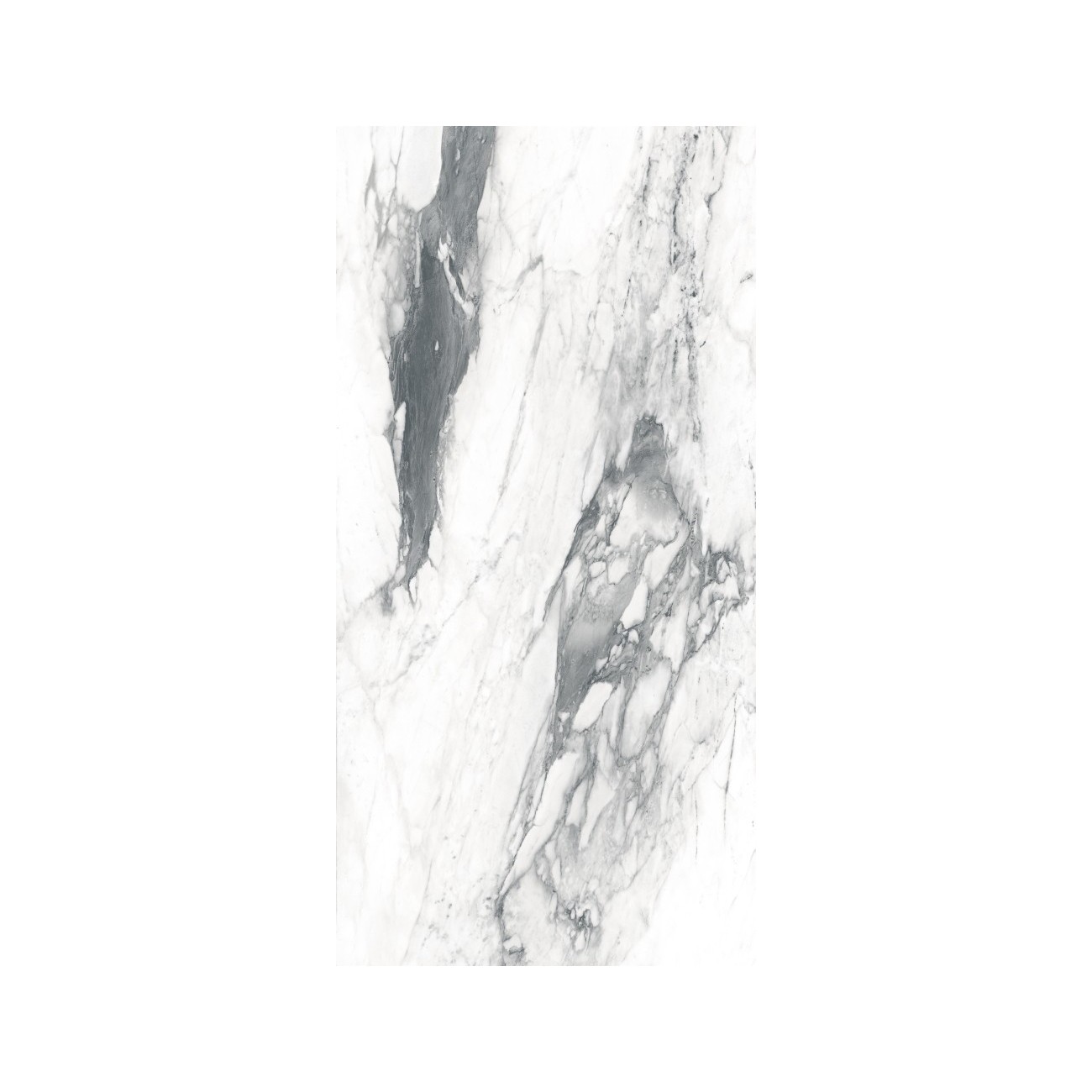 Ragno Bistrot Paonazzetto